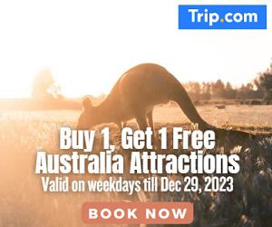 Book with Trip.com today for best discount and hassle-free travel